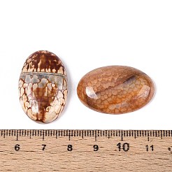 Gefärbte natürliche Feuerachat-Cabochons&nbsp;X-G-Q957-02B-20x30