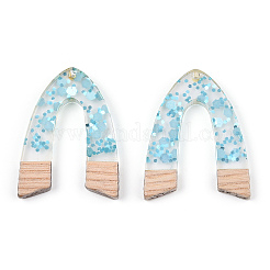 Colgantes de resina transparente y madera blanca&nbsp;RESI-N039-53