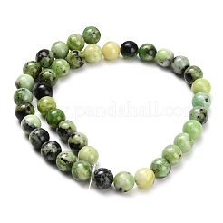 Natur Serpentin Perlen Stränge&nbsp;G-Z110-C04-10mm