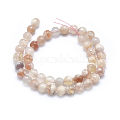 Chapelets de perles en agate naturelle de fleurs de cerisier&nbsp;X-G-I213-23-8mm