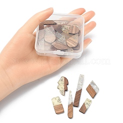 20pcs 10 estilos de resina transparente y colgantes de madera de nogal&nbsp;RESI-YW0001-30