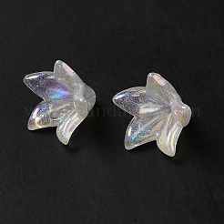 Transparentes bouchons acrylique de perles&nbsp;OACR-H016-03