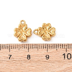 Ciondoli in acciaio inossidabile 304&nbsp;STAS-K303-08C-G