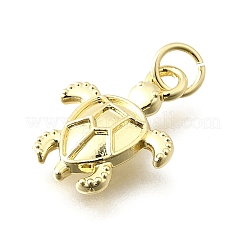 Messing Anhänger & Charms&nbsp;KK-V013-04G