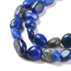 Natürlicher Lapislazuli Perlenstränge&nbsp;G-F575-01E