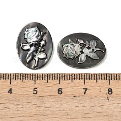 Natürliche schwarze Lippenmuschel geschnitzte Cabochons&nbsp;SSHEL-B006-08