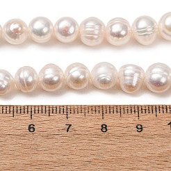 Fili di perle di perle d'acqua dolce coltivate naturali&nbsp;PA-CBABE82-06B