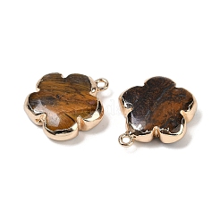Pendentifs en œil de tigre naturel&nbsp;G-P566-01G-07