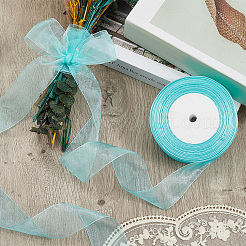 1 rotolo di nastro di organza trasparente&nbsp;SRIB-CY0001-22B-06
