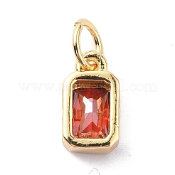 Charms in vetro&nbsp;ZIRC-F131-17G