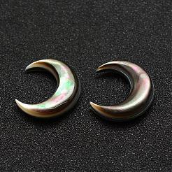 Natürliche Abalone Muschel / Paua Muschel Cabochons&nbsp;SSHEL-G015-64