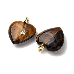 Colgantes de ojo de tigre naturales&nbsp;G-P588-01G-06
