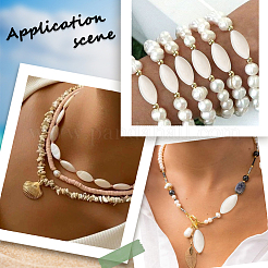 4 hebra de cuentas de concha natural&nbsp;SHEL-SC0001-83