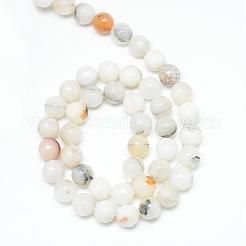 Agata naturale fili di perle&nbsp;G-R346-12mm-26