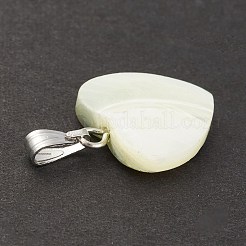 Colgantes de concha de troquídea natural / concha de troco&nbsp;SSHEL-K027-09