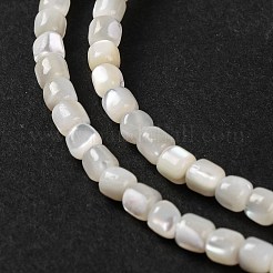 Natürliche Trochusmuschelperlenstränge&nbsp;BSHE-S304-09B