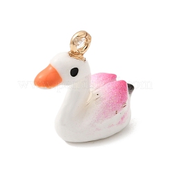 Pendentifs d'émail en alliage&nbsp;FIND-Z119-09G