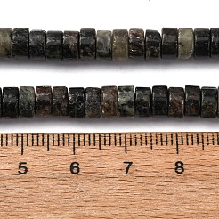 Perline biotite naturale fili&nbsp;G-L624-I12-3x6mm