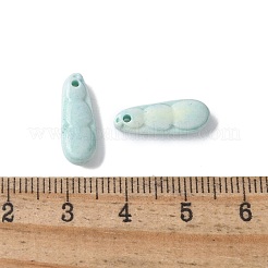 Breloques en agate d'Alashan arc-en-ciel naturelles&nbsp;G-G194-05A
