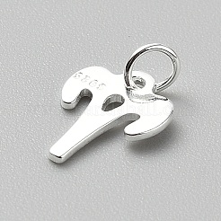 925 Charm aus Sterlingsilber mit zwölf Sternbildern&nbsp;STER-WH0005-19S-02