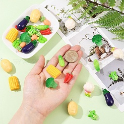 30pcs 10 styles de pendentifs en résine&nbsp;RESI-YW0004-20