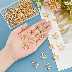 Zink Legierung Anhänger & Charms&nbsp;FIND-PH0007-58