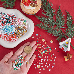 120g 12 Stile Weihnachten Themen DIY Epoxidharz Materialfüllung&nbsp;DIY-SC0027-29