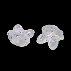 Perles en acrylique transparent mat&nbsp;X1-OACR-P029-18B-05