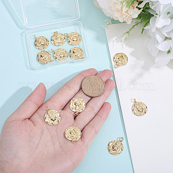 12 pièces pendentifs en laiton&nbsp;KK-BBC0024-99