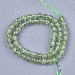 Perline Prehnite naturale fili&nbsp;X-G-S333-6mm-032