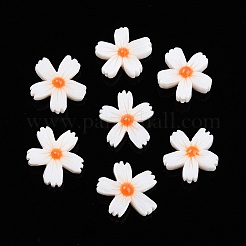 Naturali di acqua dolce perline shell fili&nbsp;SHEL-F004-04-01
