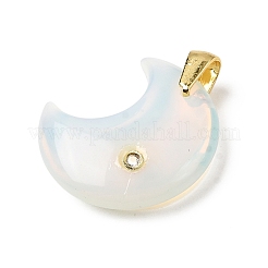 Colgantes opalite&nbsp;G-A297-02G-13