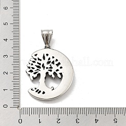 Pendentifs en acier inoxydable 304&nbsp;STAS-M336-03AS