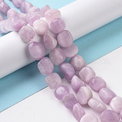 Naturperlen Stränge kunzite&nbsp;G-A208-01A