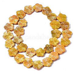 Eau douce naturelle de coquillage perles brins&nbsp;SHEL-Q025-002E