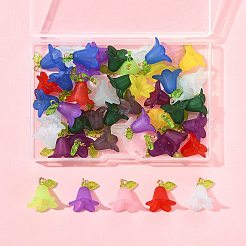 50 Stück transparente Acryl-Anhänger&nbsp;PALLOY-FS00043-05
