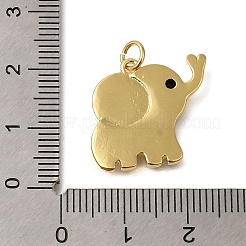 Gestellbeschichtung Messing Pflastern natürliche Muschel Anhänger&nbsp;ZIRC-F142-07G