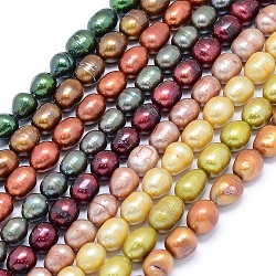 Brins de perles de culture d'eau douce colorées naturelles, pomme de terre, couleur mixte, 10~13x8~10mm, Trou: 0.8mm, Environ 32~35 pcs/chapelet, 15.7 pouce (40 cm)