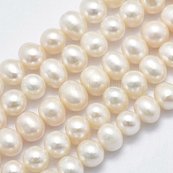 Hebras de perlas de agua dulce cultivadas naturales, patata, crema, 7~8x6~7mm, agujero: 0.8 mm, aproximamente 61 pcs / cadena, 15.9 pulgada (40.5 cm)