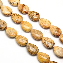Natural Teardrop Picture Jasper Beads Strands, 18x13x6mm, Hole: 1mm, about 23pcs/strand, 15.74 inch