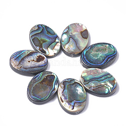 Abalone shell / paua shell beads, oval, 18x13x3.5mm, agujero: 1 mm