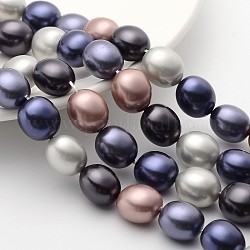 Brins de perle de coquille ovale polie, couleur mixte, 15x13x12mm, Trou: 1mm, Environ 13~14 pcs/chapelet, 7.8 pouce (20 cm)