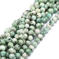 Chapelets de perles en chrysocolle naturelle, ronde, 6~6.5mm, Trou: 0.8mm, Environ 63 pcs/chapelet, 15.55'' (39.5 cm)