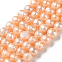 Fili di perle di perle d'acqua dolce coltivate naturali, patata, grado a, peachpuff, 6~8.5x6.5~7.5mm, Foro: 0.7 mm, circa 52pcs/filo, 13.86'' (35.2 cm)