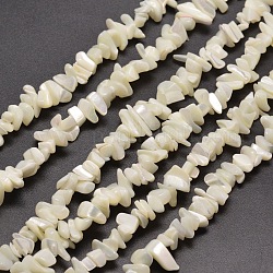 Natürliche weiße Perlmuttschalen-Chipperlenstränge, Shell-Scherben, 5~15x5~8 mm, Bohrung: 1 mm, etwa 31.5 Zoll