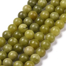 Естественно оливин шарик нити, круглые, 8 мм, отверстие : 1 мм, около 47 шт / нитка, 14.9 дюйм (38 см)