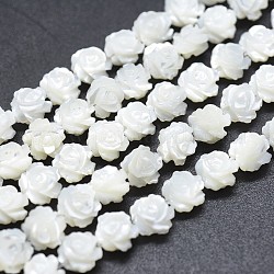Natural White Shell Beads Strands, Mother of Pearl Shell Beads, Double-sided Rose, WhiteSmoke, 8~8.5x4~5mm, Hole: 0.8mm, about 50pcs/strand, 15.15 inch(38.5cm)