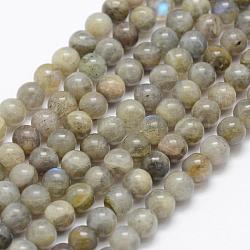 Natural Labradorite Beads Strands, Grade A-, Round, 4mm, Hole: 1mm, about 107pcs/strand, 15.1 inch(38.5cm)