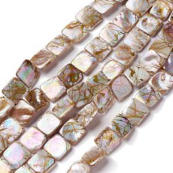 Fili di perline di conchiglia fresca naturale da trafila, ab colore placcato, quadrato, 15x14x3mm, Foro: 0.7 mm, circa 26pcs/filo, 15.35'' (39 cm)
