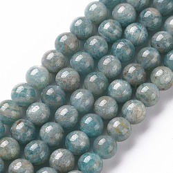 Fili di perline amazonite naturale, tondo, 6~7mm, Foro: 1 mm, circa 60~67pcs/filo, 15.7 pollice
